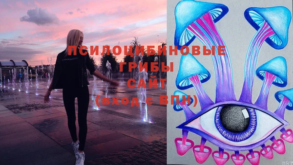 PSILOCYBIN Куйбышев