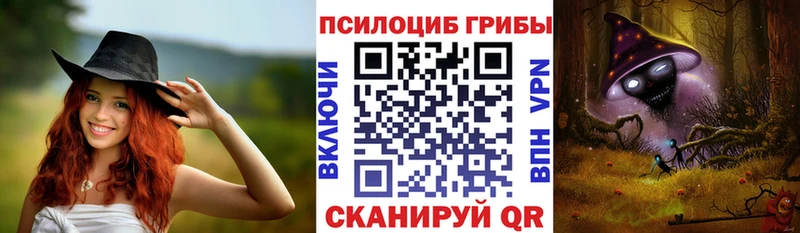 цена наркотик  Петровск-Забайкальский  Псилоцибиновые грибы прущие грибы 