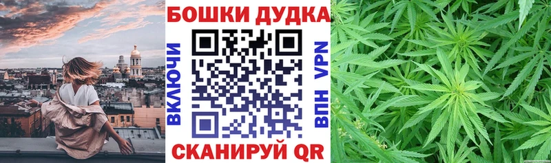 Бошки Шишки ГИДРОПОН  Петровск-Забайкальский 